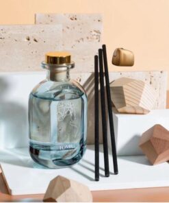 Fragrance Diffuser Oil Bottle - Tomiu