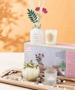 Fragrance Diffuser Set- Aromatic Trail - Image 3