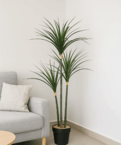 Luxurious Artificial Plant - Dracaena Marginata