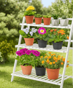 Wood Stand – 3 layer