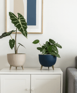 Artificial Pot – Round Flower Pot