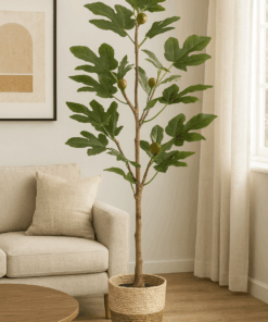 Luxurious Artificial Plant - Fig Tree