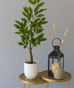 Luxurious Artificial Plant - Sturdy Texture