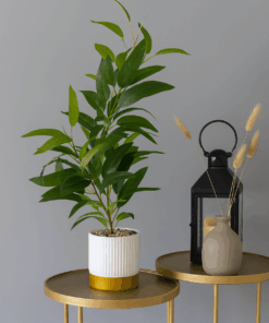 Luxurious Artificial Plant - Glossy Green Leaves