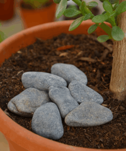 Plant Accessories – Gray Gravel