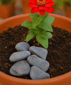 Alternative view of Plant Accessories – Gray Gravel