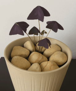 Plant Accessories – beige Gravel