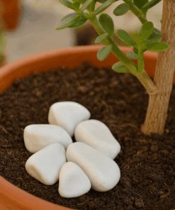 Plant Accessories – White Gravel